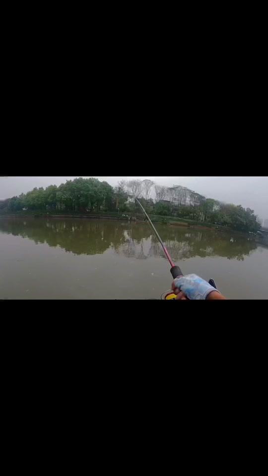 钓鲑鱼有什么技巧(钓鲑鱼用什么钓)