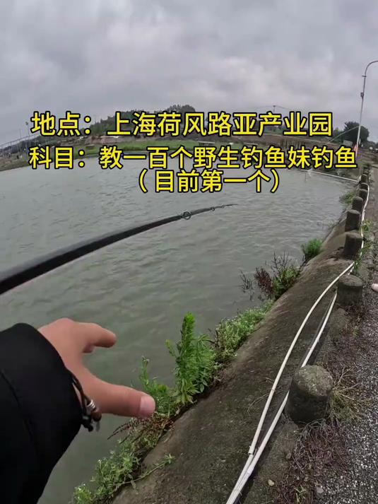 阳澄湖路亚地点(阳澄湖一日游最佳地点)