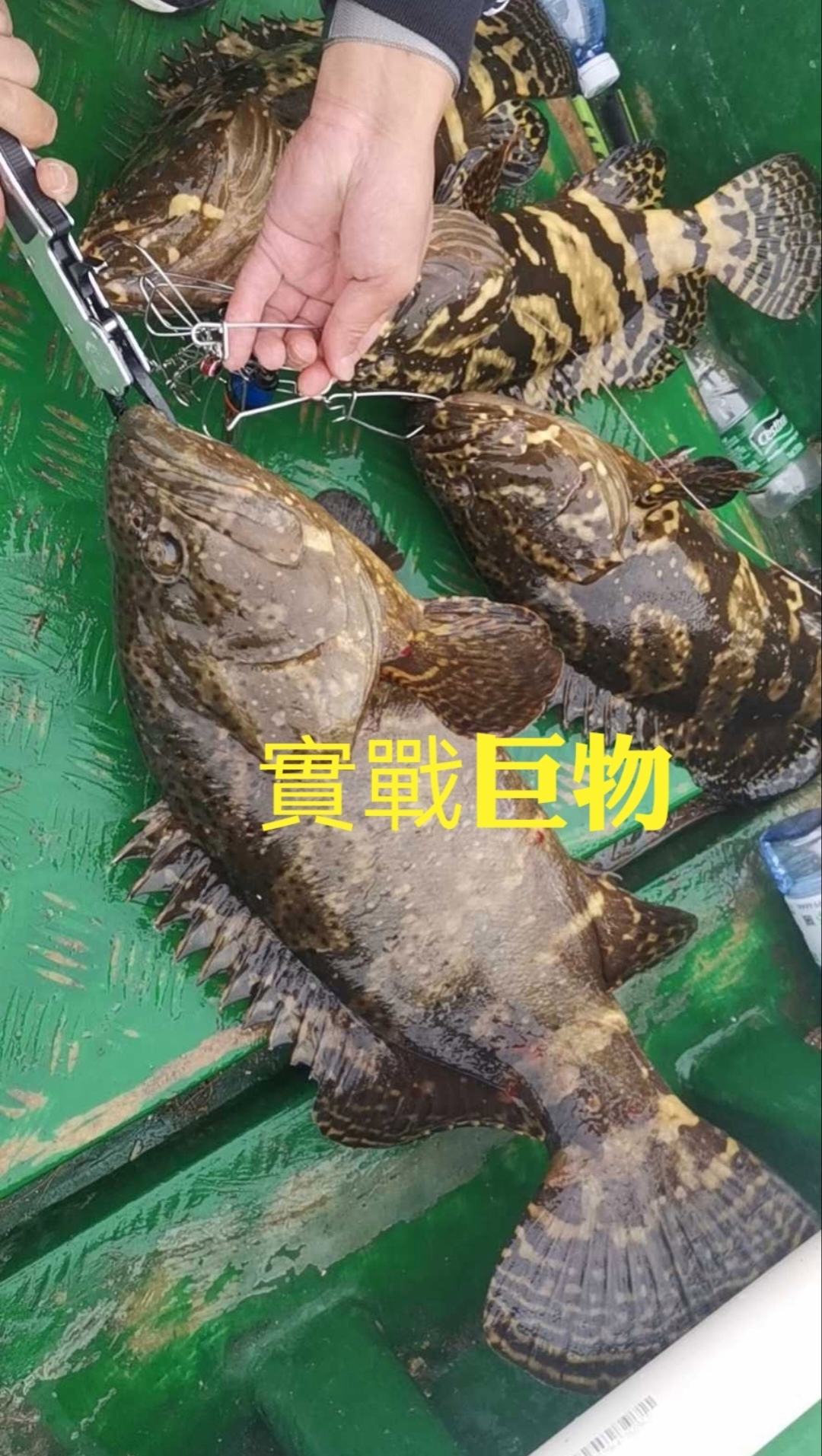 海钓用多大的鱼钩(海钓用多大的鱼钩合适)