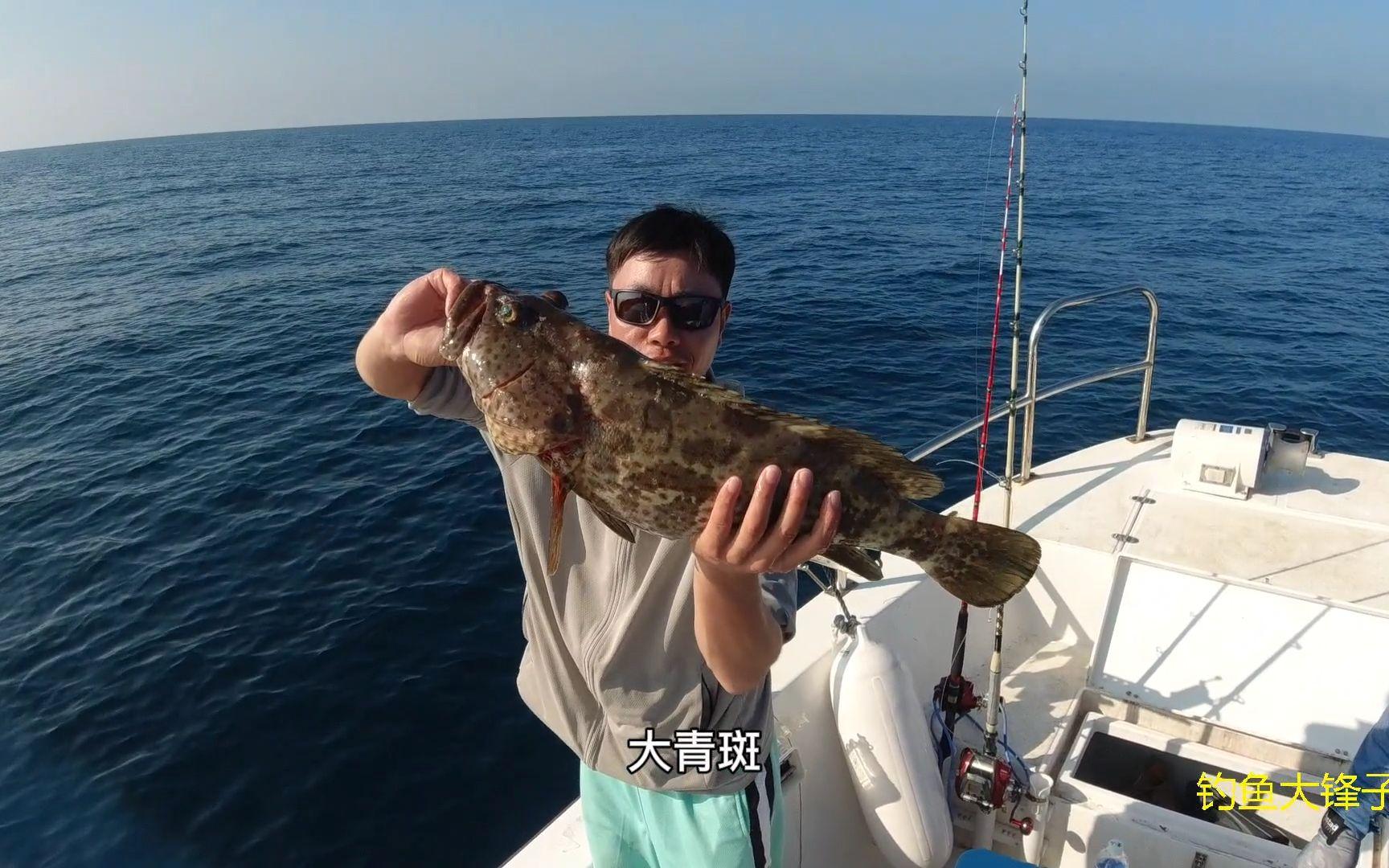 打底钓石鲷技巧(钓石鲷视频)