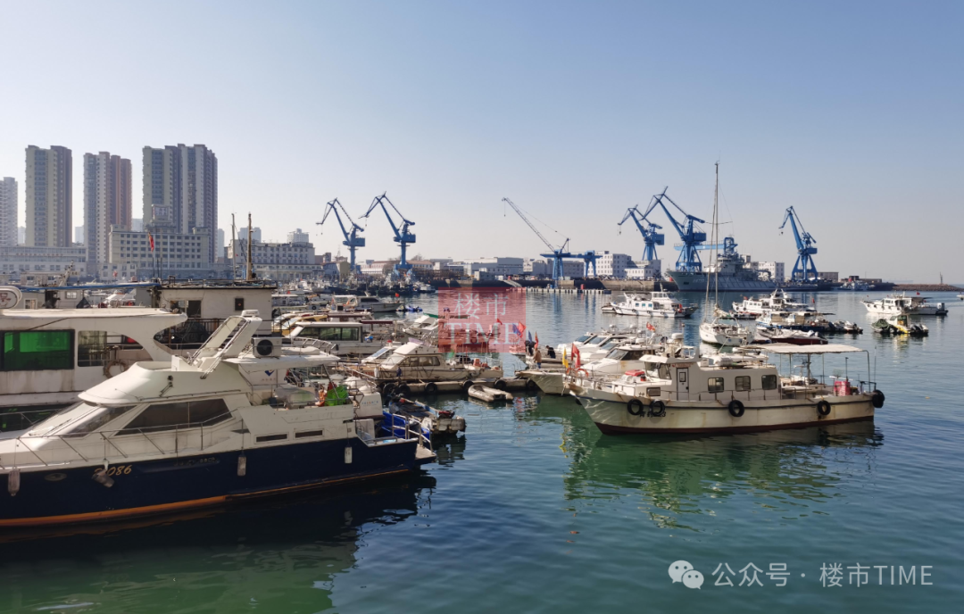 青岛海钓的地方(青岛海边钓点)