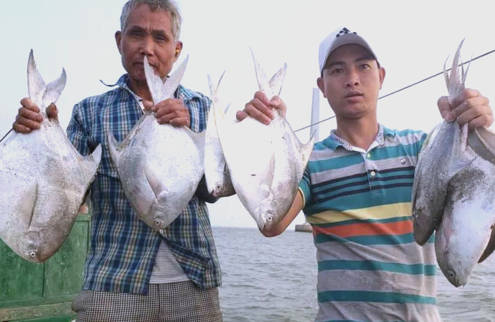 怎么海钓鲳鱼(怎么海钓鲳鱼好钓)