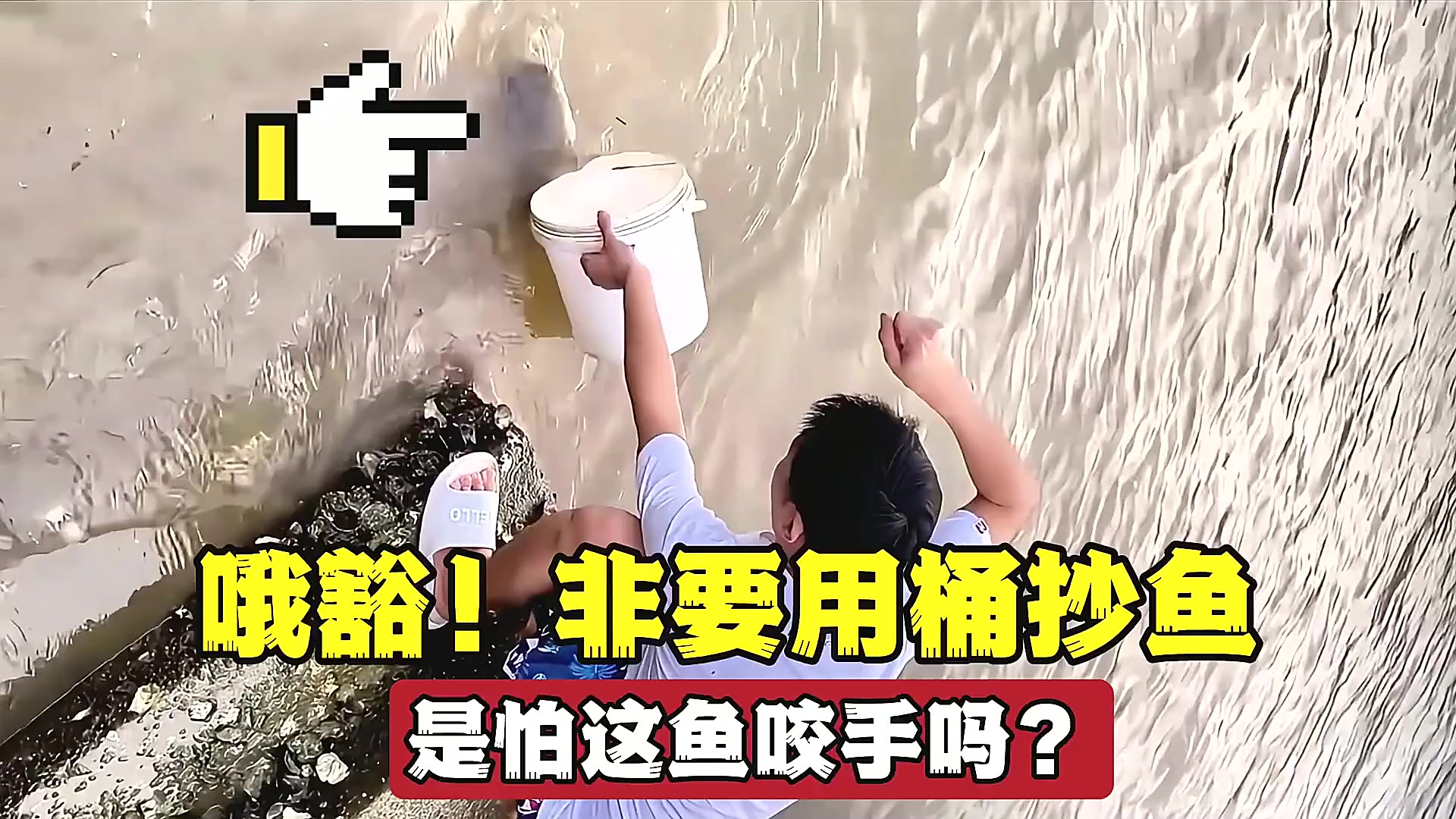 自己抄鱼技巧(自己抄鱼技巧图片)