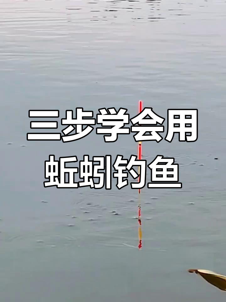 使用蚯蚓钓鱼的技巧(使用蚯蚓钓鱼的六个技巧)
