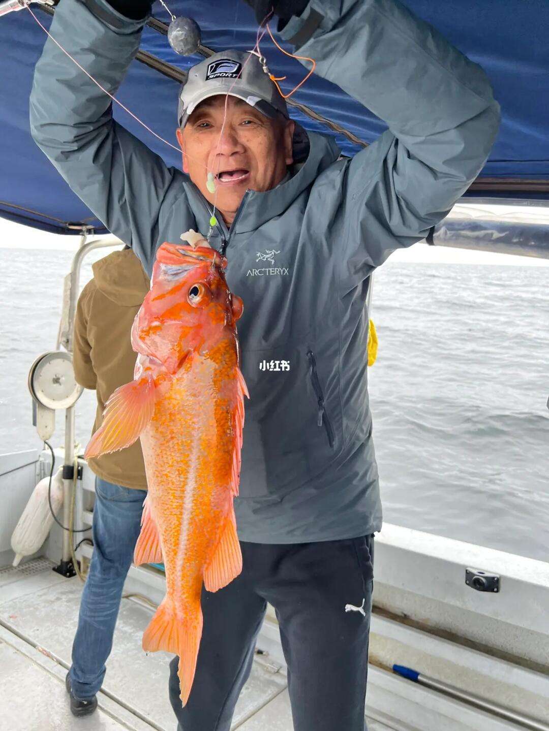 南油海钓直播(深圳南油服装直播)