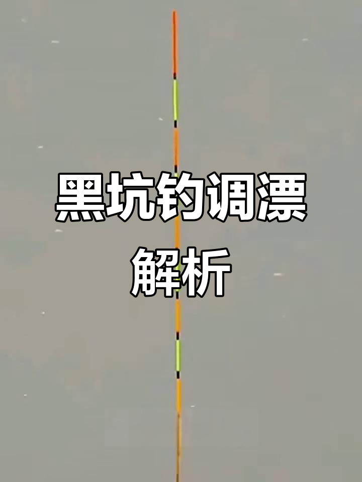黑坑调票技巧(黑坑调钓)