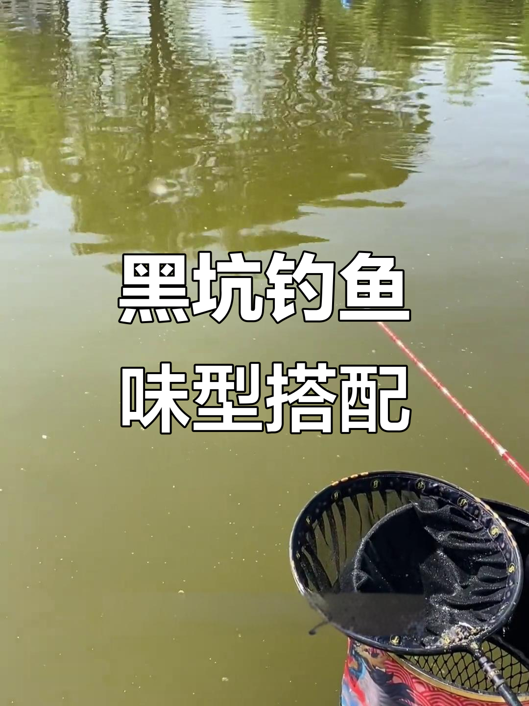 黑坑冰钓鲤鱼技巧(黑坑冰钓用什么饵料)