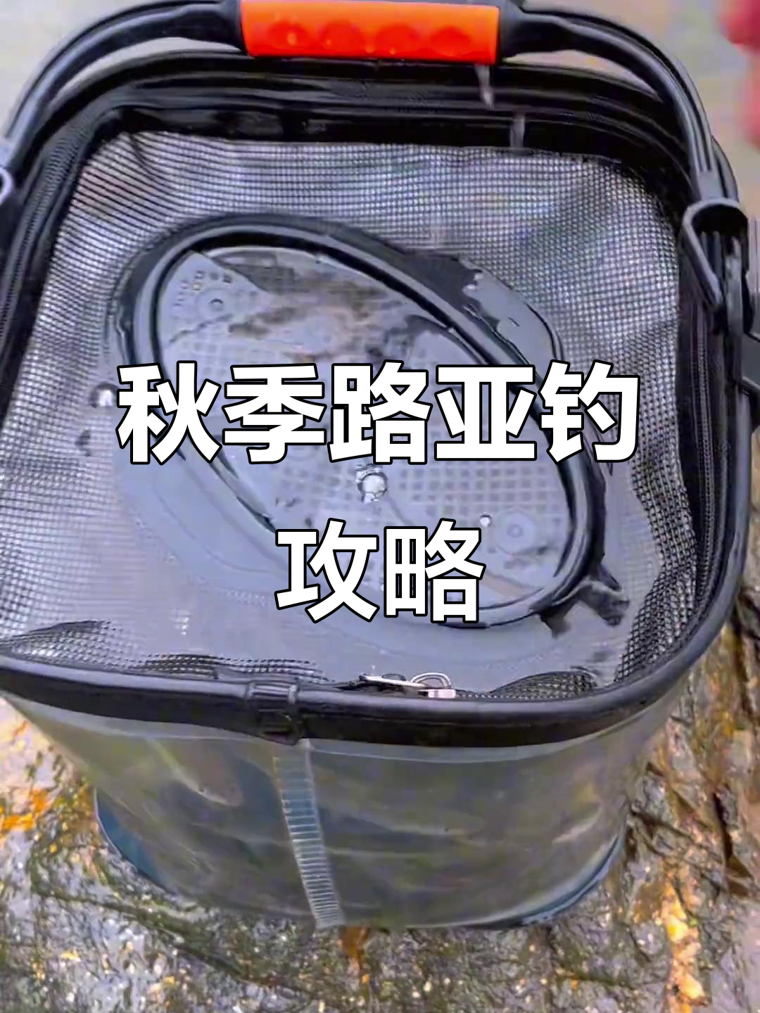 秋季北方钓鱼技巧(北方秋季野钓)