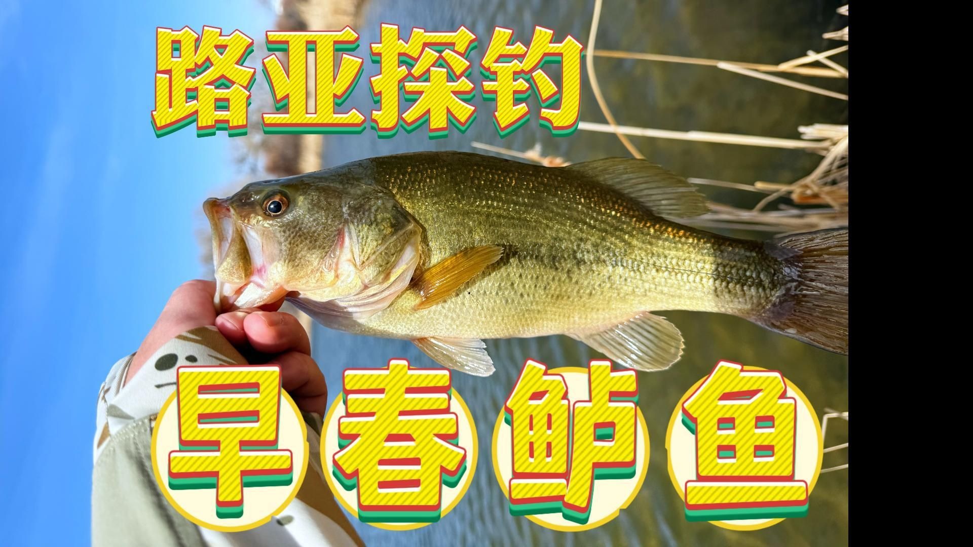早春怎么路亚(早春路亚马口)