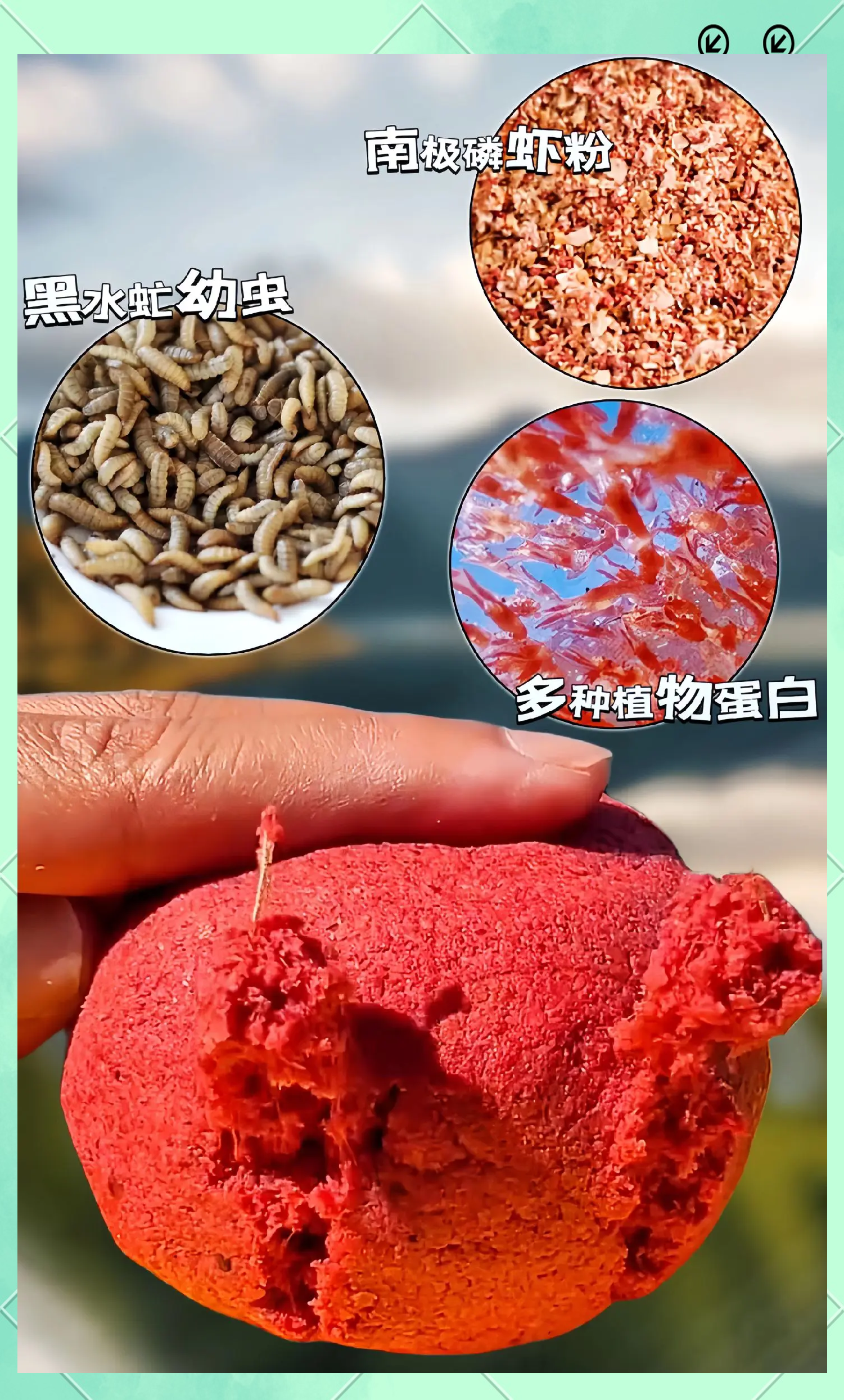 冬季水库钓鱼饵料(冬季水库钓鱼什么饵料最适合)