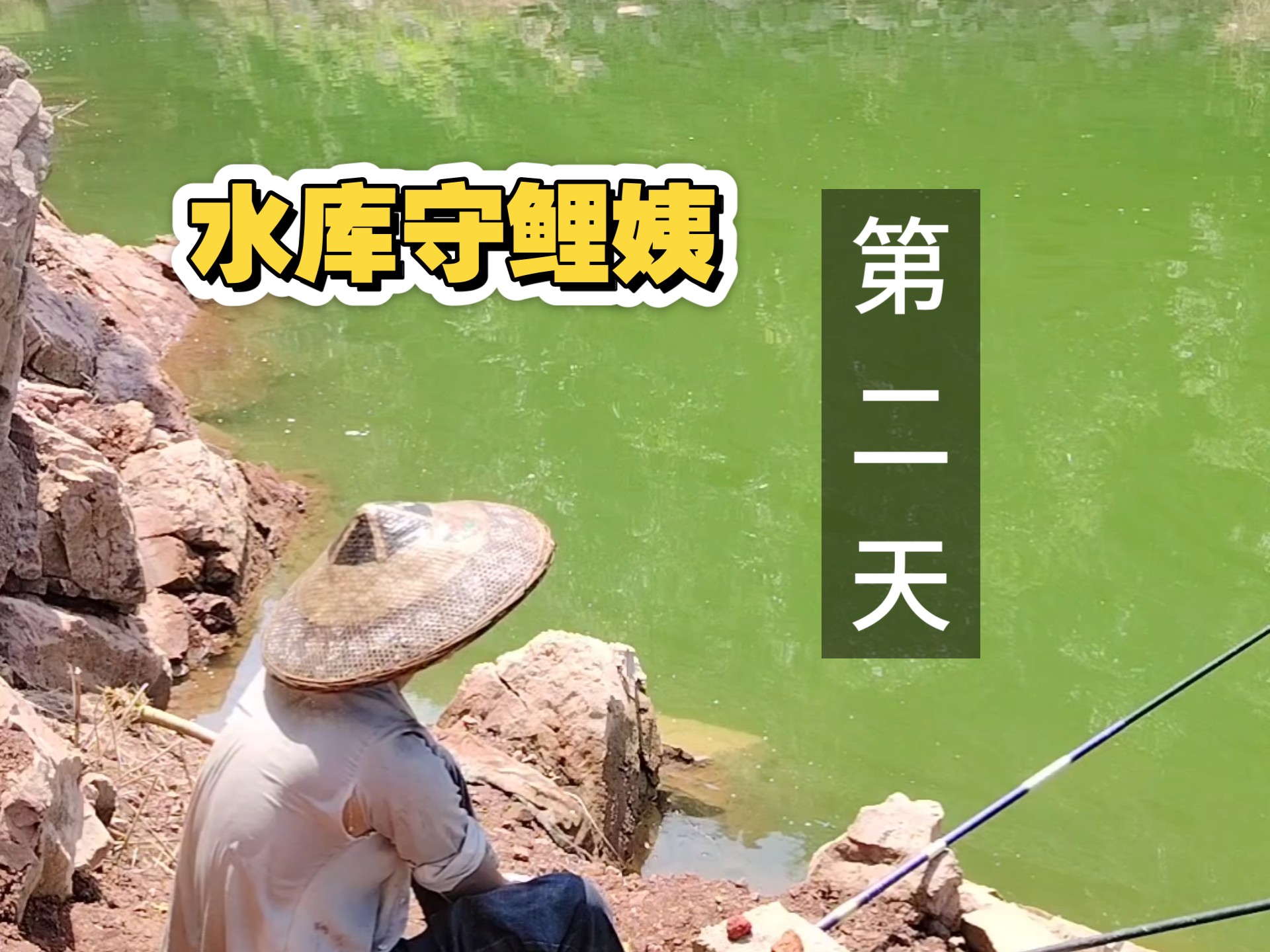 水库鲤鱼钓鱼技巧(水库鲤鱼钓鱼技巧和方法)