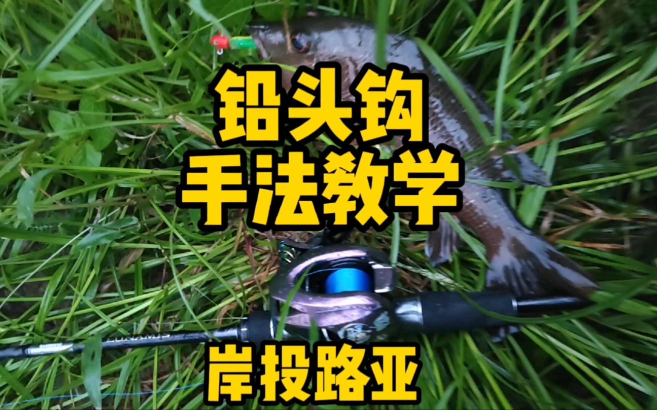 钓红友技巧(怎么钓红友沉底吗)