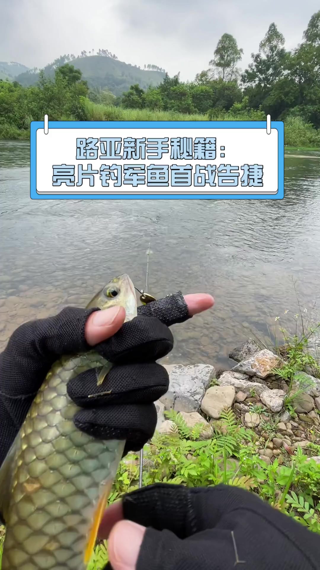 钓海鱼路亚亮片技巧(路亚公认钓翘嘴最快的钓法)