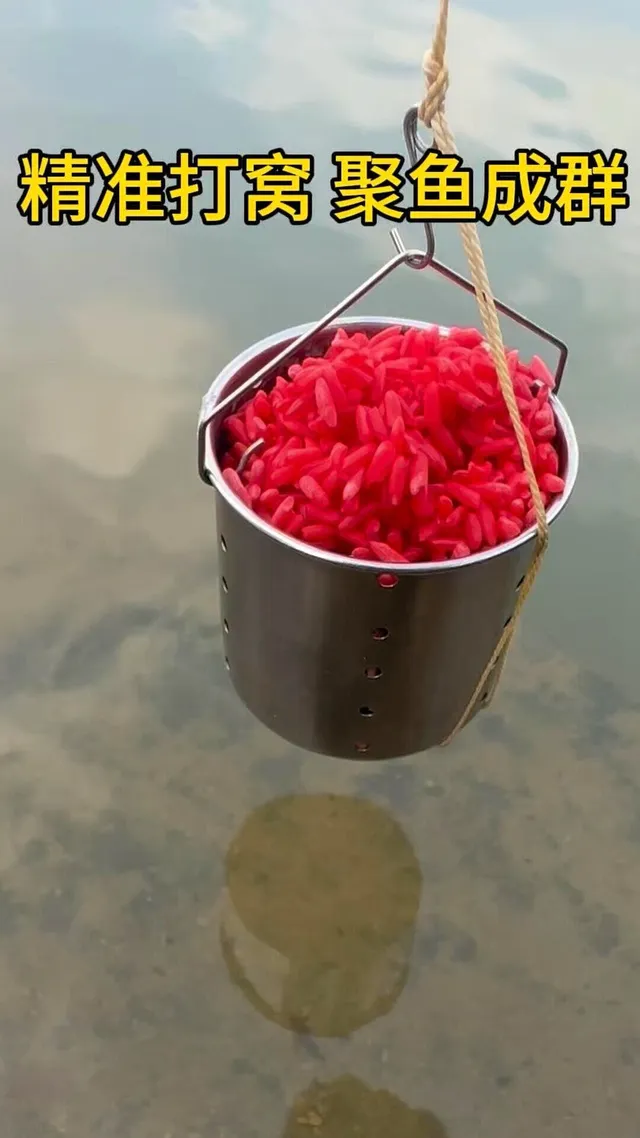 海钓鱼用什么打窝(海钓用什么打窝?)