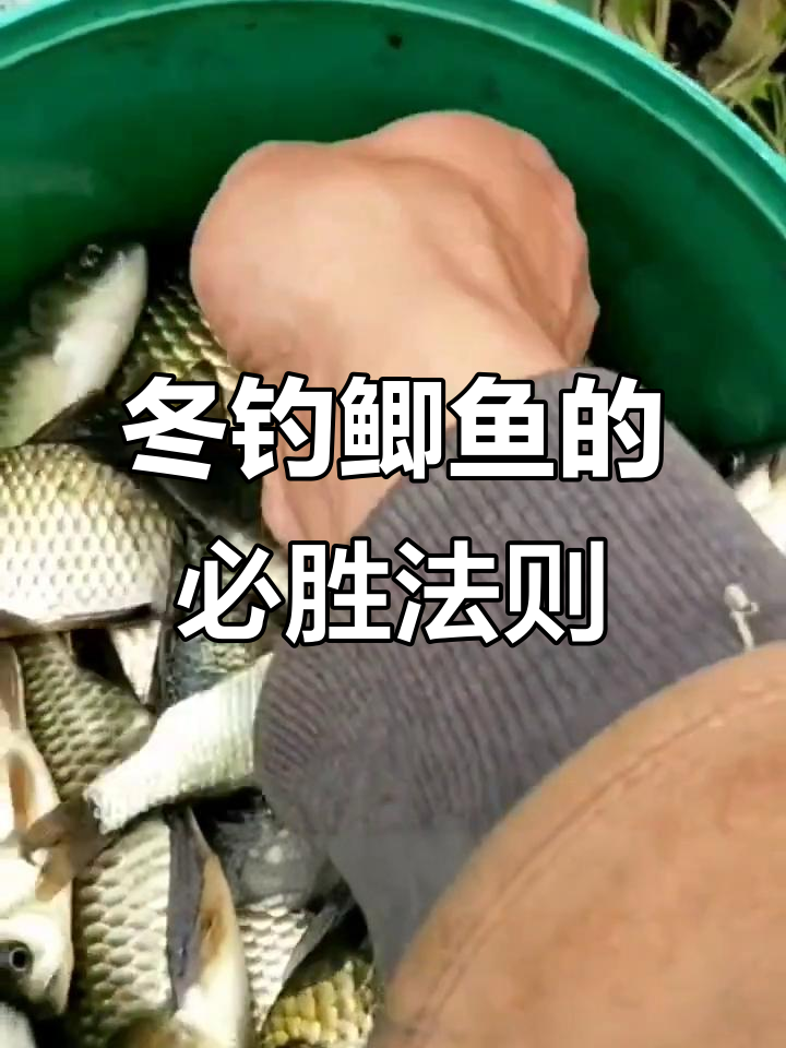 北方冬季钓鲫鱼的技巧(北方冬季钓鲫鱼用什么鱼饵)
