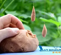 甘荫塘渔具店(jiangxi渔具店电话号码)