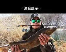依华渔具老板(渔具店老板的悠闲生活)