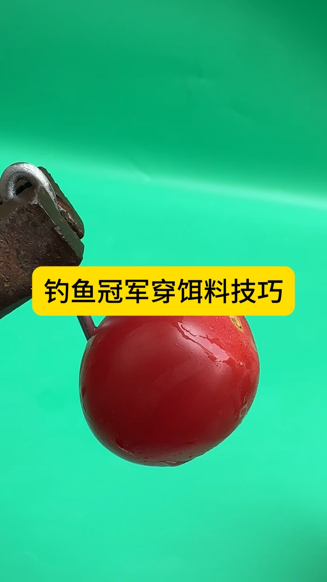 用饵料钓鱼的技巧(用饵料钓鱼的技巧视频)