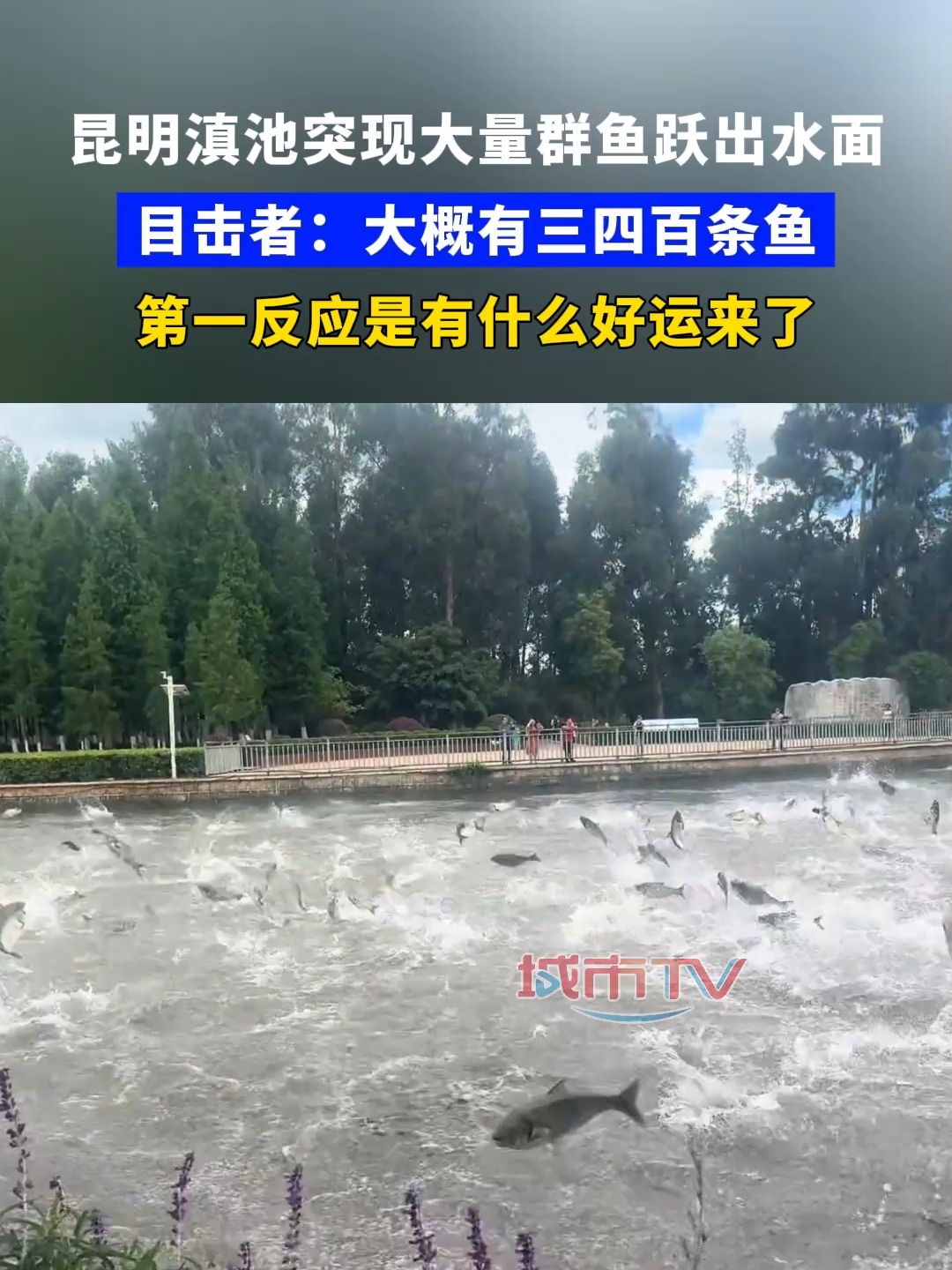 滇池有什么路亚目标鱼(路亚新手必备的5种假饵)