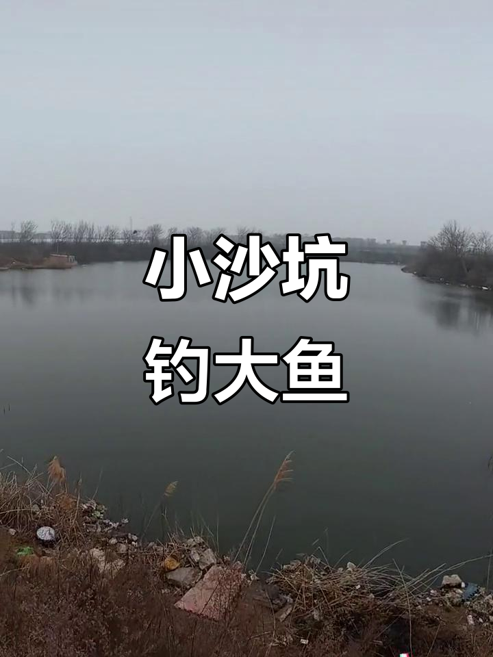 冬天沙坑钓鱼技巧视频(野钓沙坑用什么打窝好)