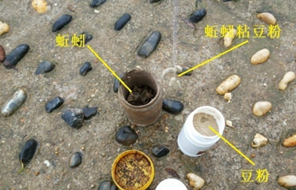 深秋饵料(深秋饵料里用什么诱鱼快)