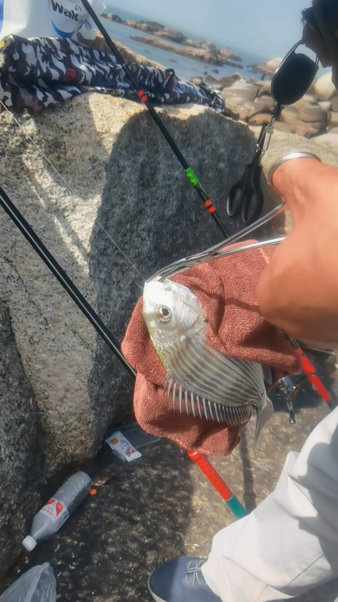 初一海钓(初一海水什么时候退潮)