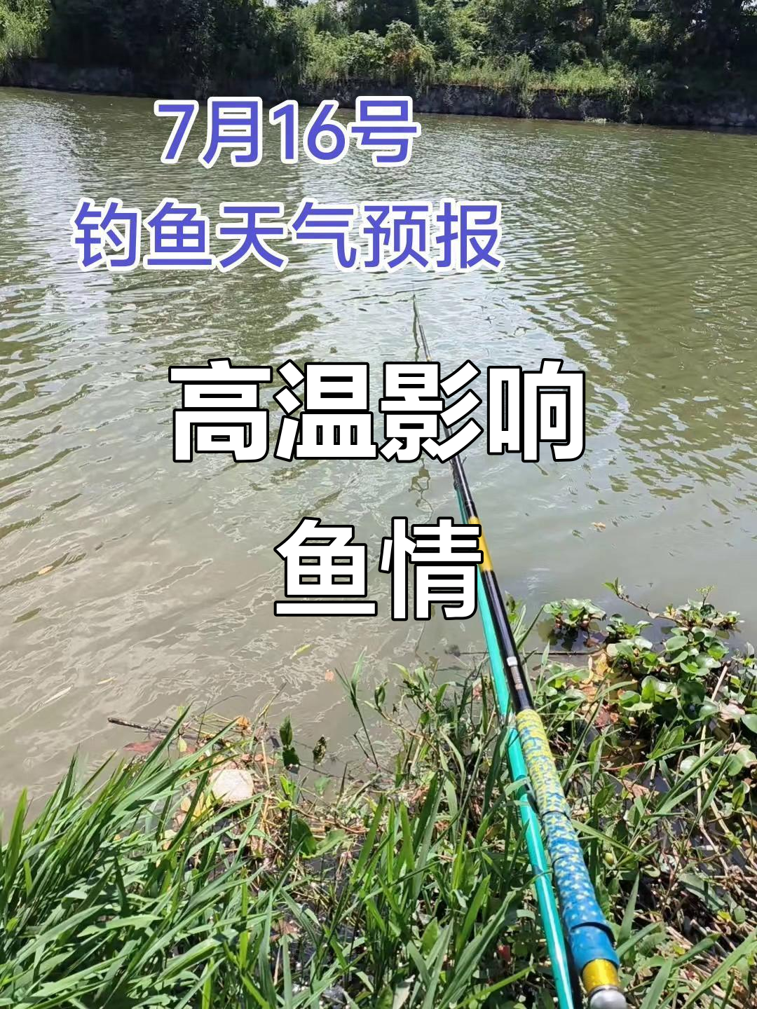 珠海钓鱼天氣(珠海今日气压查询)