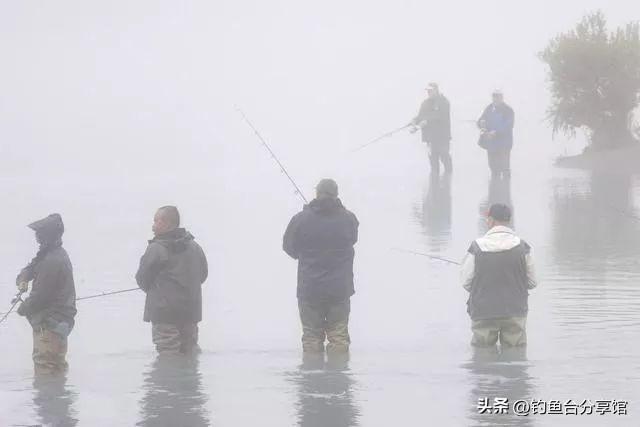 珠海钓鱼天氣(珠海今日气压查询)