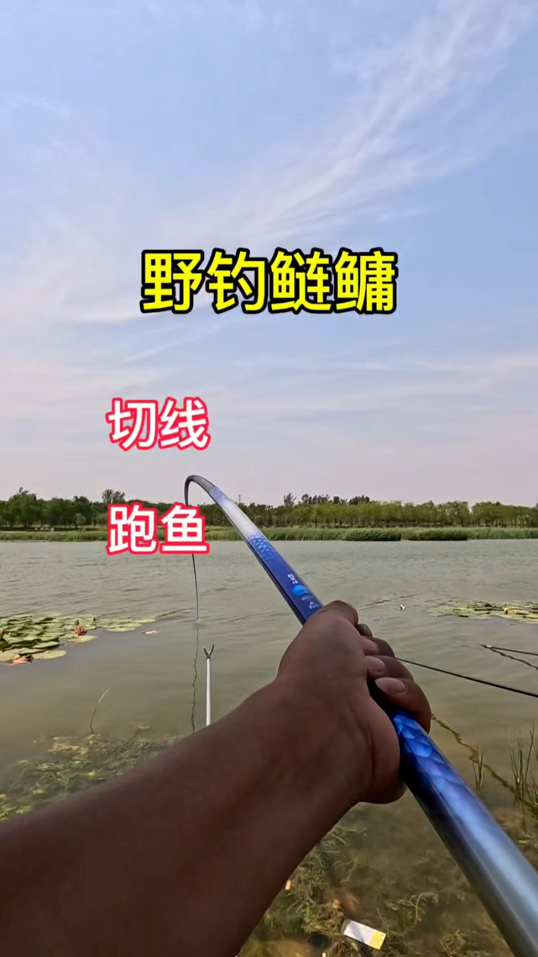 钓花鲢技巧钓鱼(钓花鲢鱼的方法)