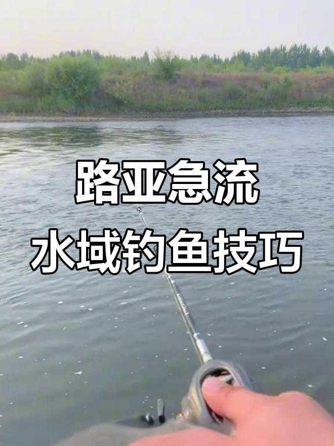 溪流钓鲤鱼技巧(溪流钓教程)