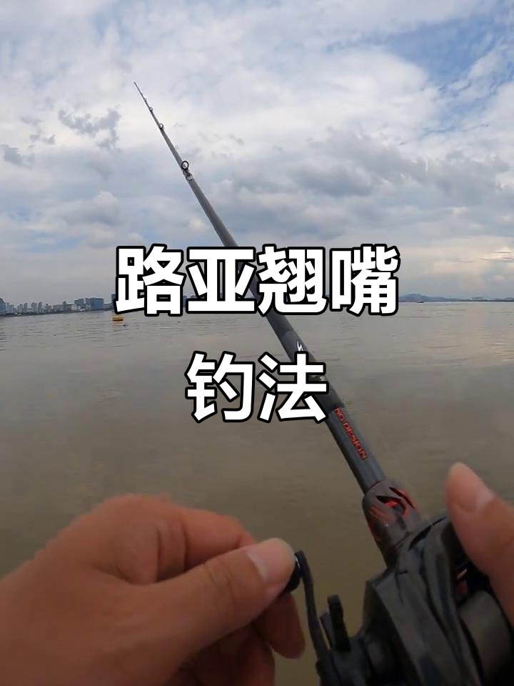 江里面路亚有什么技巧(江里打路亚技巧)