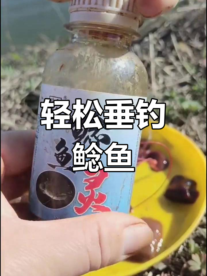 爆炸饵料鲶鱼配方(爆炸饵料鲶鱼配方视频)