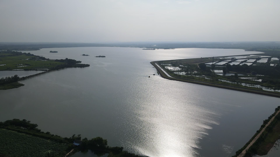 松滋小南海钓鱼(松滋南海湿地公园)