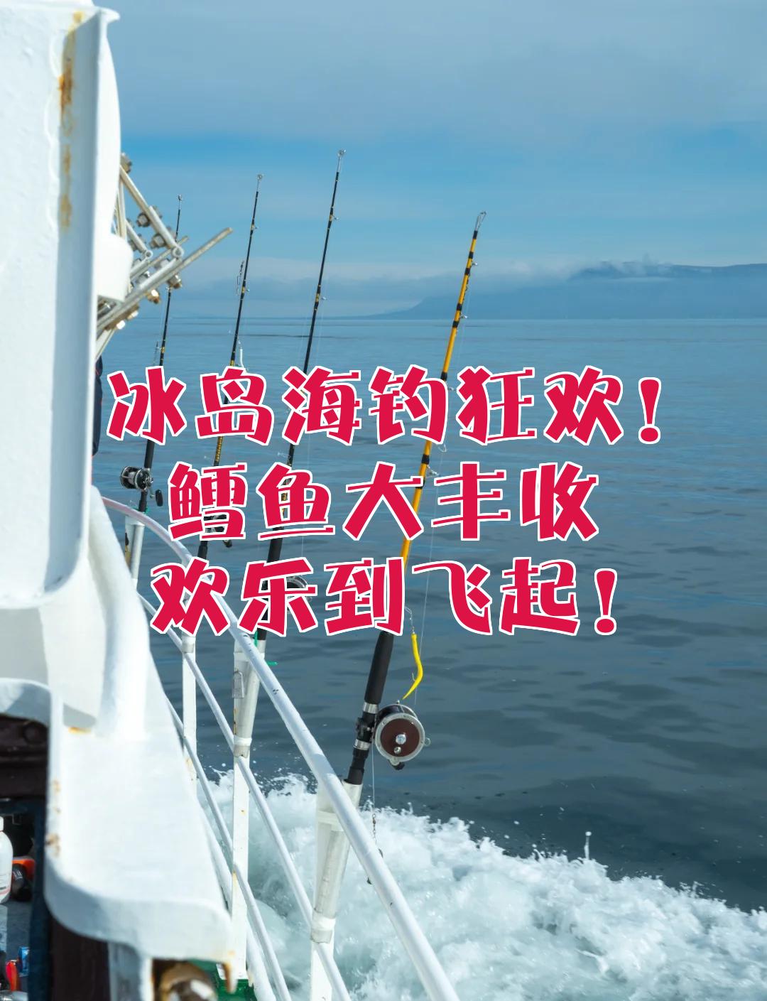 冬季海钓鳕鱼(冬天钓淡水鳕鱼的最佳饵料)