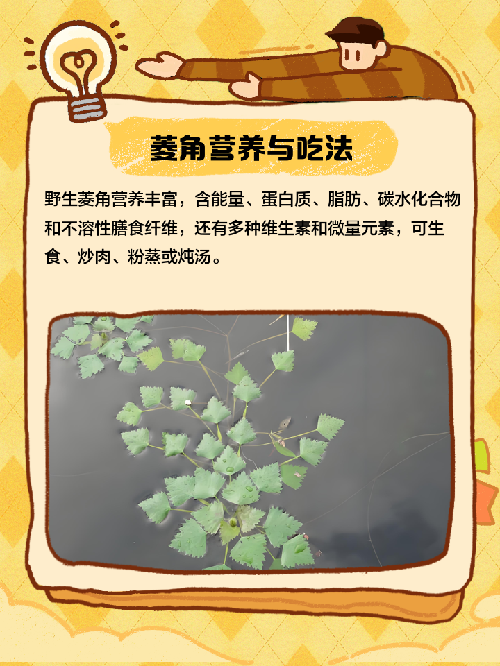 菱角的技巧(菱角怎么好吃呢?)