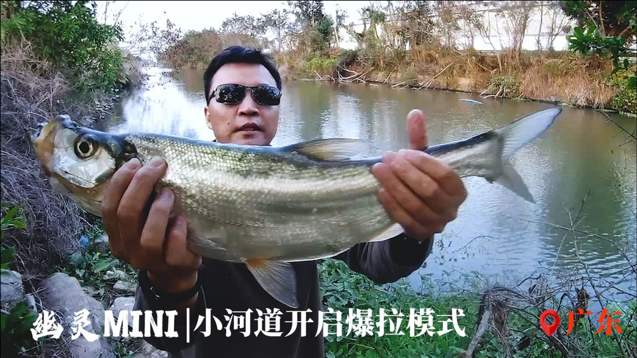 路亚讲座视频(路亚教学)