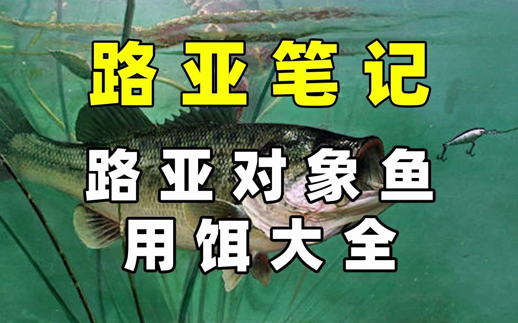 桂林路亚对象鱼(桂林路亚群)