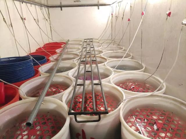 临海大洋渔具店(临海大洋崇和影院)