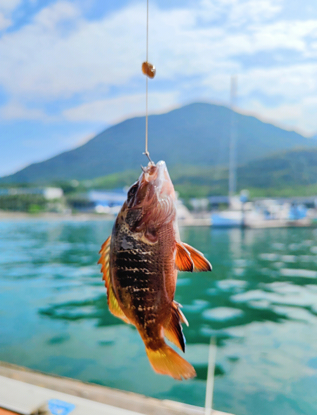 深圳火车西站桥底海钓(深圳火车站附近的海滩)