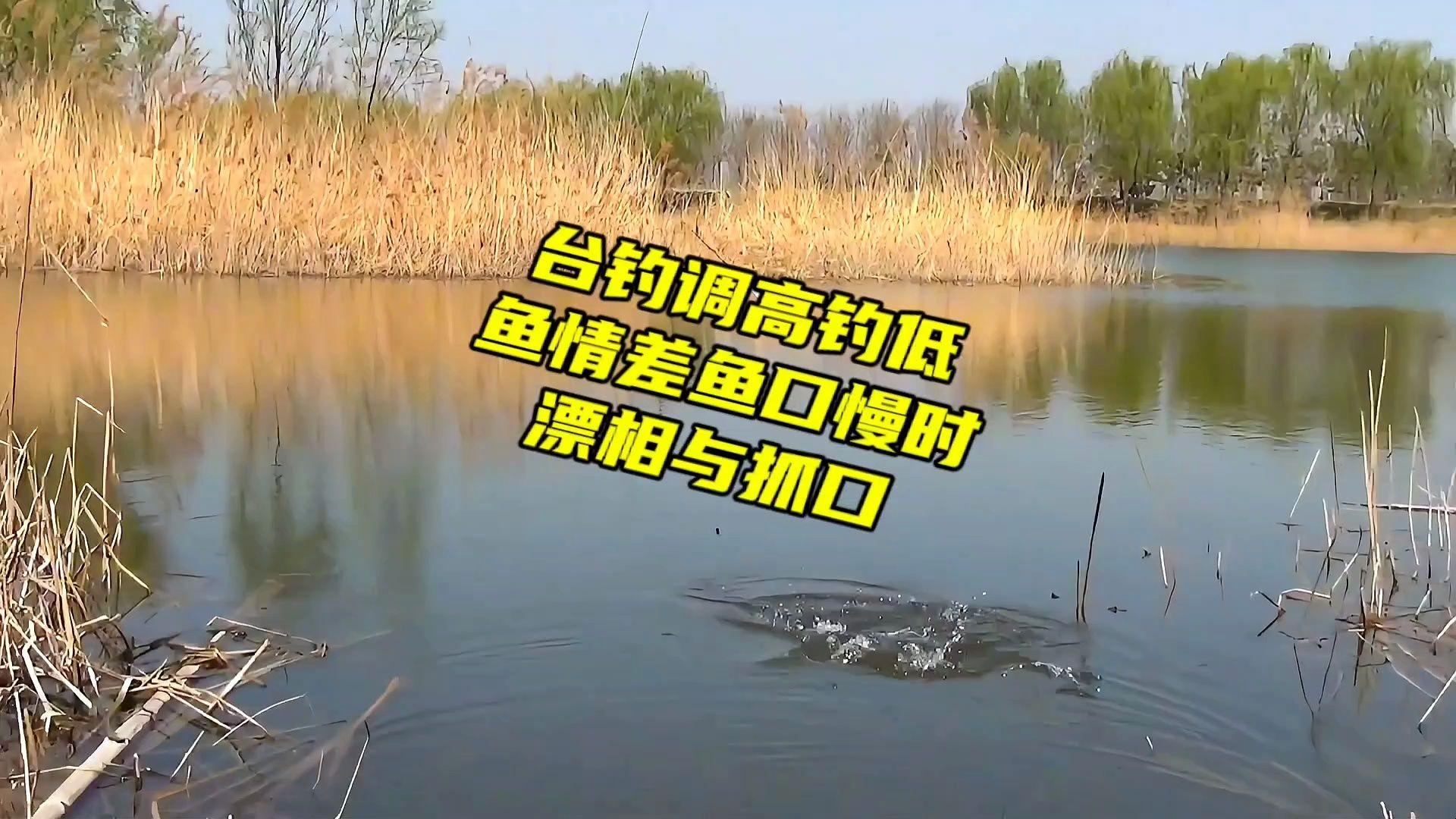 调高钓低饵料没了(调低钓高的状态)