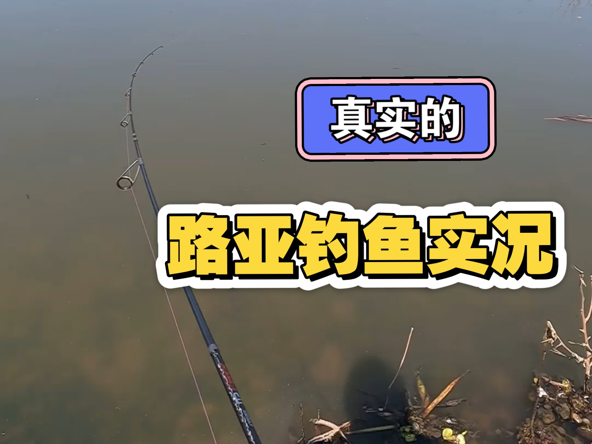 上庄水库能路亚吗(上庄水库钓鱼用什么饵料)