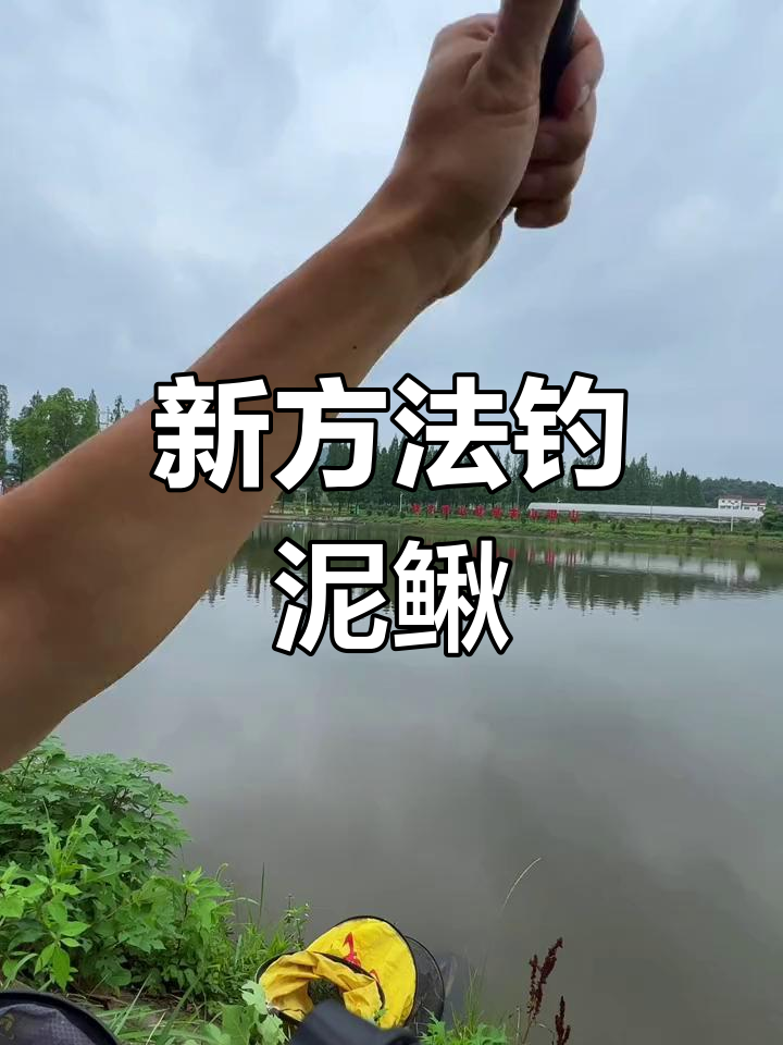 长江和泥鳅打窝技巧(冬季用泥鳅野钓长江)