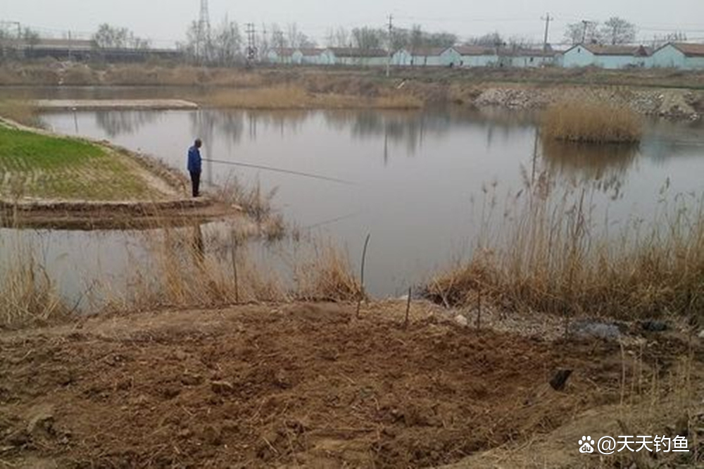 野河春季钓鲫鱼技巧(春季野河钓鱼用什么饵料搭配)