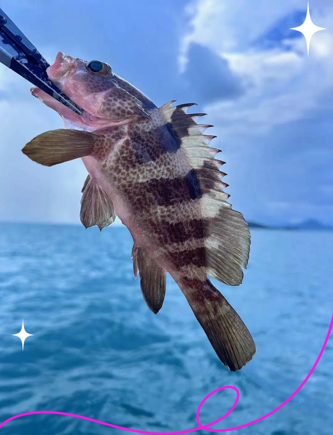 冬季海钓如何选择钓点(冬天如何钓海鱼)