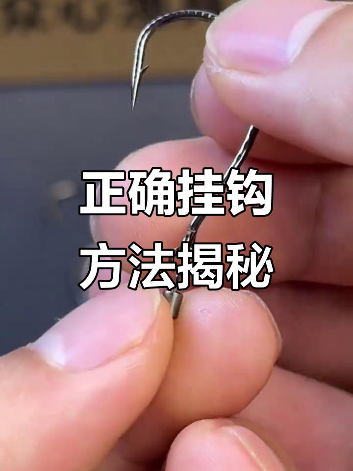 饵料阀钓技巧(饵料怎么装钩)