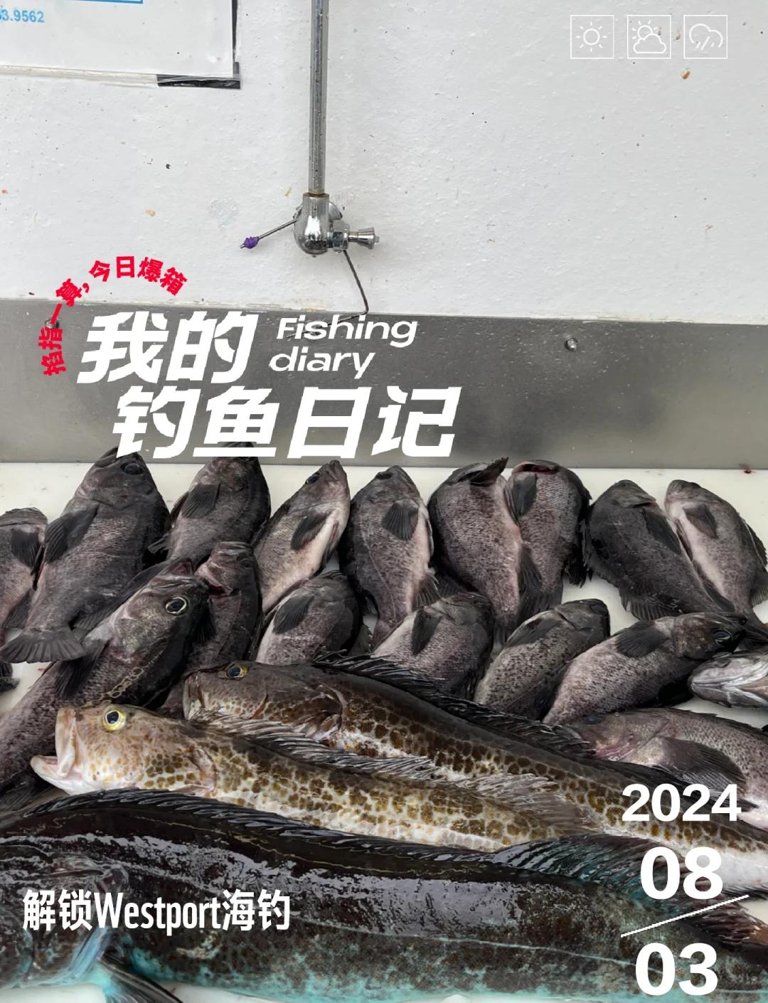 美国海钓发展(美国海钓鱼竿品牌排行榜)