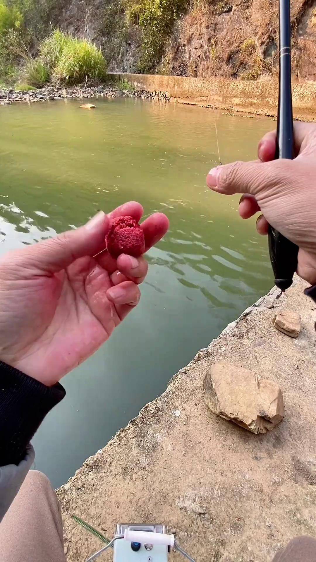 钓斑鱼技巧(斑鳠鱼怎么钓)