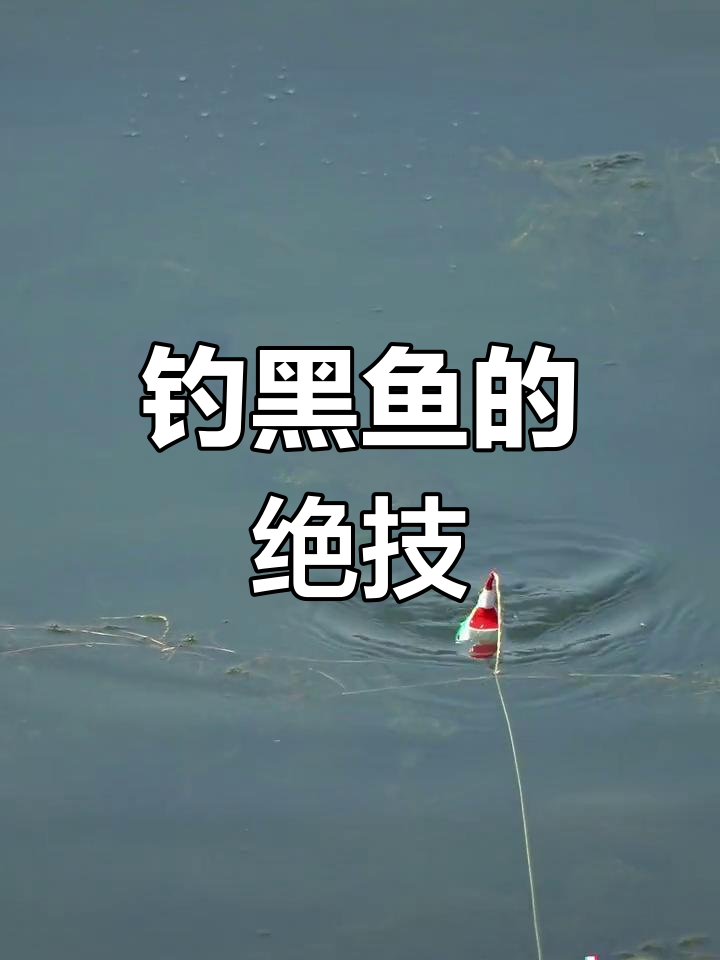 钓黑鱼的技巧(钓黑鱼技巧大全)