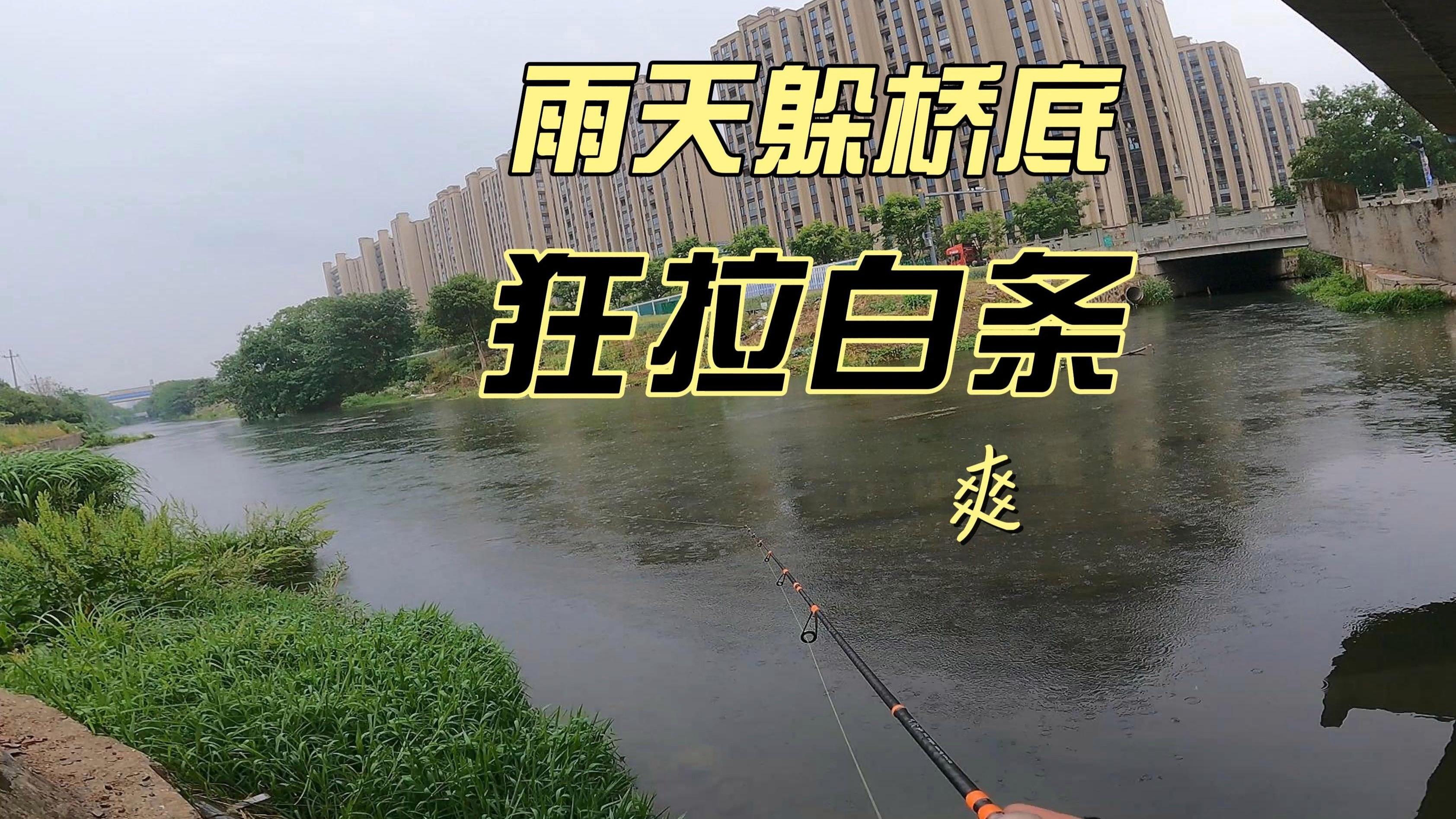 路亚可以路白条吗(路亚可以钓鲫鱼跟白条吗)
