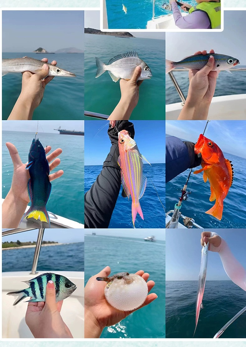 海钓鱼东风好吗(海钓 东风)